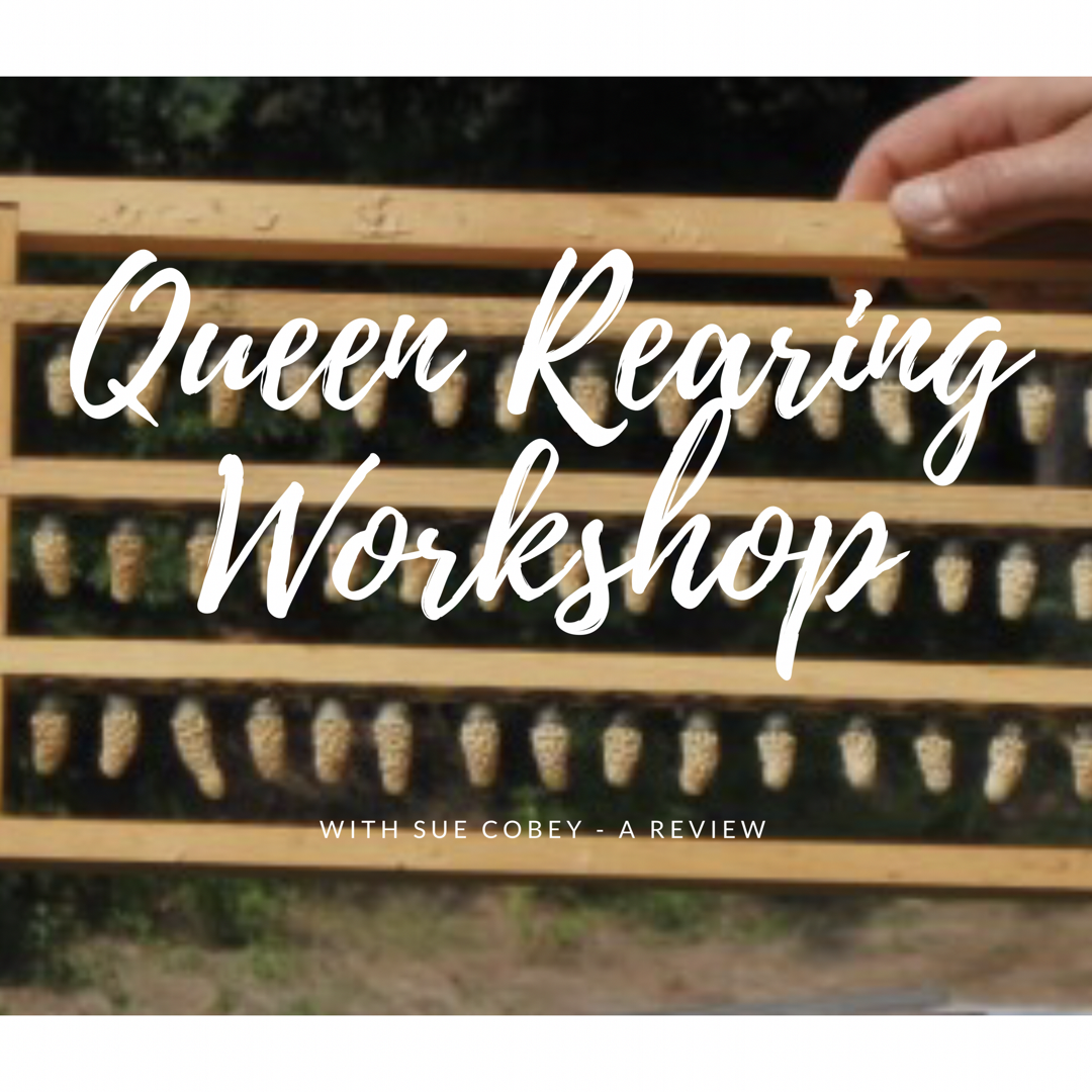 Queen Rearing With Sue Cobey prime